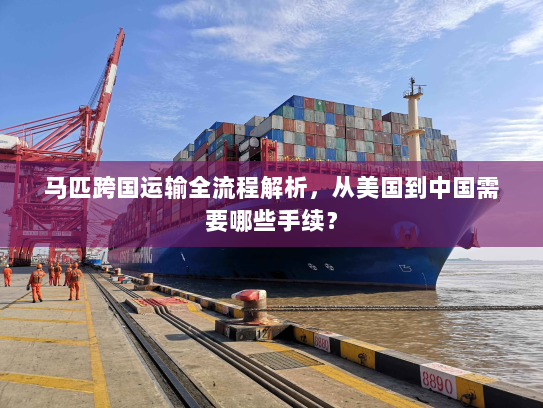 马匹跨国运输全流程解析,从美国到中国需要哪些手续? 马匹跨国运输全流程解析,从美国到中国需要哪些手续?