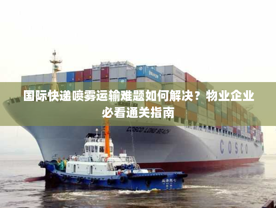 国际快递喷雾运输难题如何解决?物业企业必看通关指南 国际快递喷雾运输难题如何解决?物业企业必看通关指南