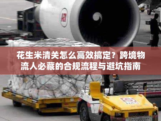 花生米清关怎么高效搞定？跨境物流人必藏的合规流程与避坑指南