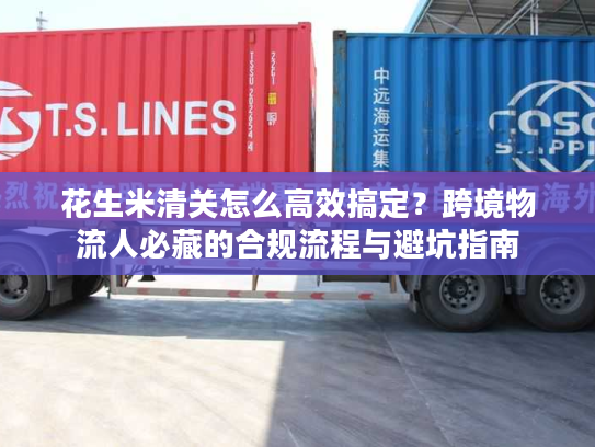 花生米清关怎么高效搞定？跨境物流人必藏的合规流程与避坑指南