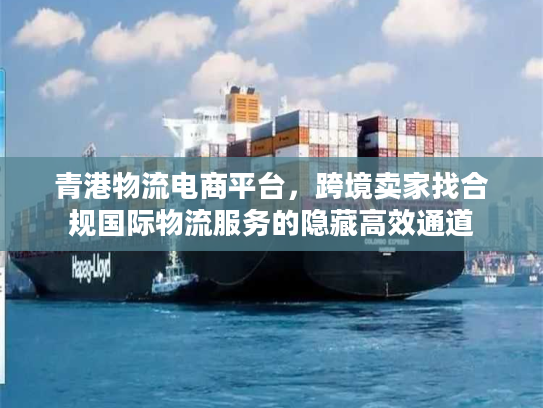 青港物流电商平台,跨境卖家找合规国际物流服务的隐藏高效通道 青港物流电商平台,跨境卖家找合规国际物流服务的隐藏高效通道