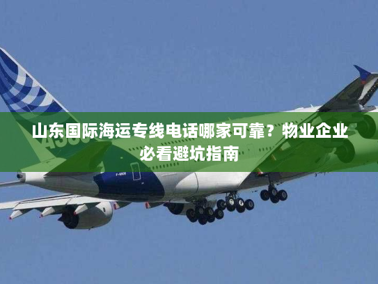 山东国际海运专线电话哪家可靠？物业企业必看避坑指南