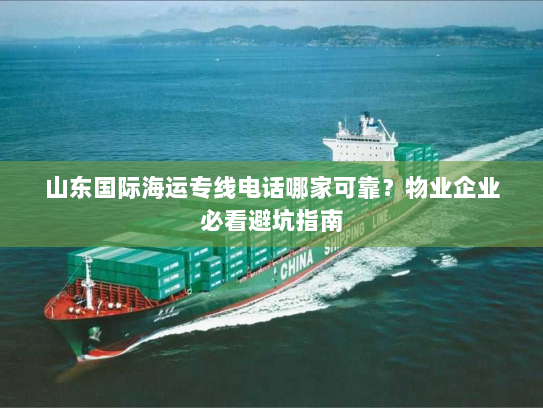 山东国际海运专线电话哪家可靠？物业企业必看避坑指南