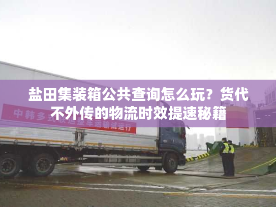 盐田集装箱公共查询怎么玩?货代不外传的物流时效提速秘籍 盐田集装箱公共查询怎么玩?货代不外传的物流时效提速秘籍