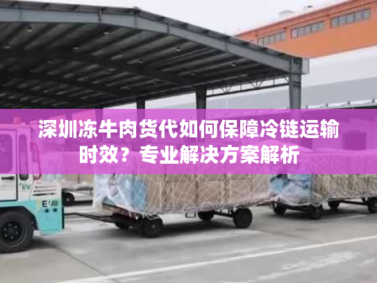 深圳冻牛肉货代如何保障冷链运输时效？专业解决方案解析