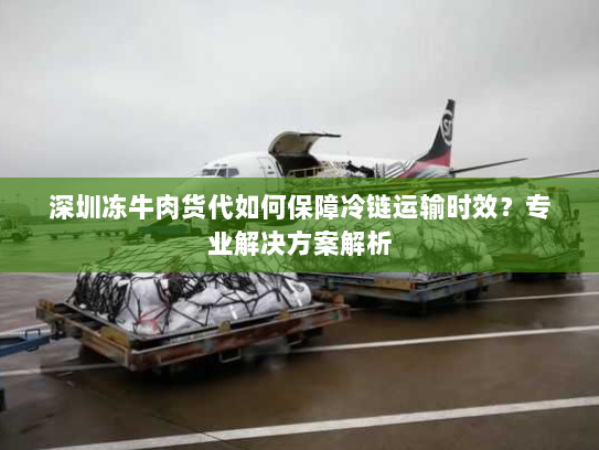 深圳冻牛肉货代如何保障冷链运输时效?专业解决方案解析 深圳冻牛肉货代如何保障冷链运输时效?专业解决方案解析