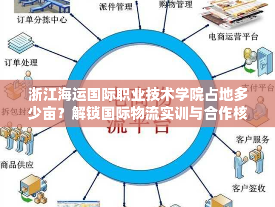 浙江海运国际职业技术学院占地多少亩？解锁国际物流实训与合作核心资源