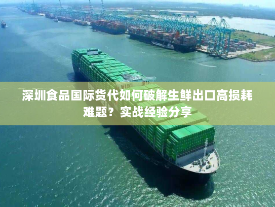深圳食品国际货代如何破解生鲜出口高损耗难题?实战经验分享 深圳食品国际货代如何破解生鲜出口高损耗难题?实战经验分享