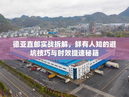 德亚直邮实战拆解，鲜有人知的避坑技巧与时效提速秘籍