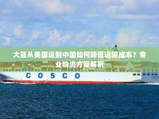 大豆从美国运到中国如何降低运输成本？专业物流方案解析