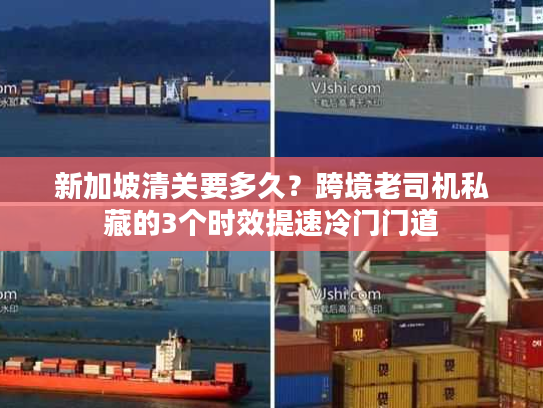 新加坡清关要多久?跨境老司机私藏的3个时效提速冷门门道 新加坡清关要多久?跨境老司机私藏的3个时效提速冷门门道