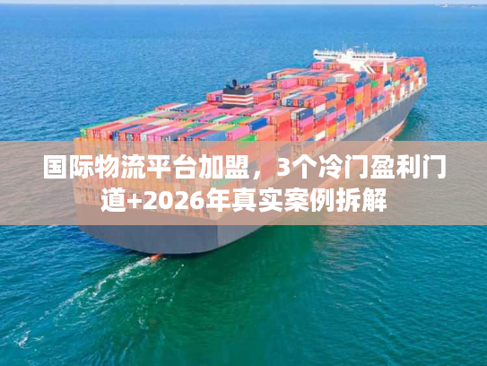 国际物流平台加盟，3个冷门盈利门道+2026年真实案例拆解