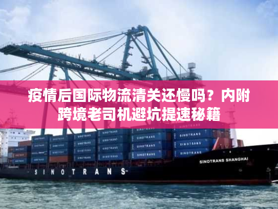 疫情后国际物流清关还慢吗？内附跨境老司机避坑提速秘籍