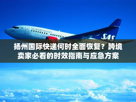 扬州国际快递何时全面恢复?跨境卖家必看的时效指南与应急方案 扬州国际快递何时全面恢复?跨境卖家必看的时效指南与应急方案