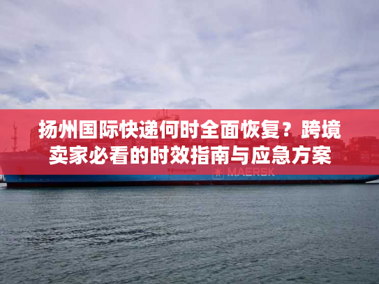 扬州国际快递何时全面恢复?跨境卖家必看的时效指南与应急方案 扬州国际快递何时全面恢复?跨境卖家必看的时效指南与应急方案