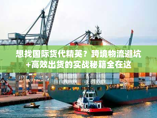 想找国际货代精英？跨境物流避坑+高效出货的实战秘籍全在这