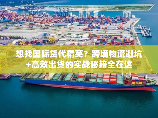 想找国际货代精英？跨境物流避坑+高效出货的实战秘籍全在这