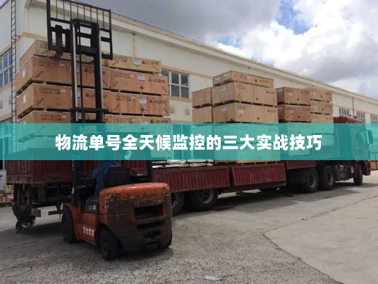 物流单号全天候监控的三大实战技巧 物流单号全天候监控的三大实战技巧