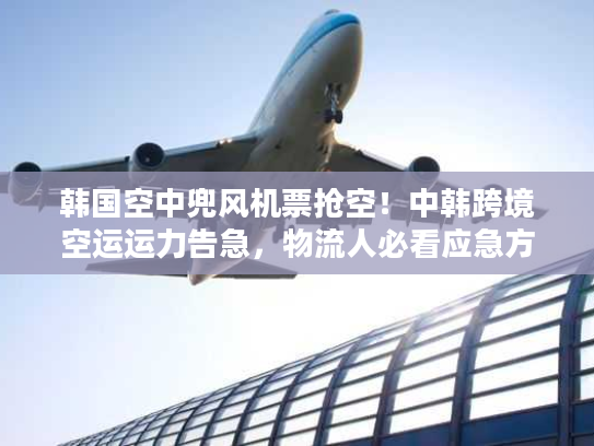 韩国空中兜风机票抢空!中韩跨境空运运力告急,物流人必看应急方案 韩国空中兜风机票抢空!中韩跨境空运运力告急,物流人必看应急方案