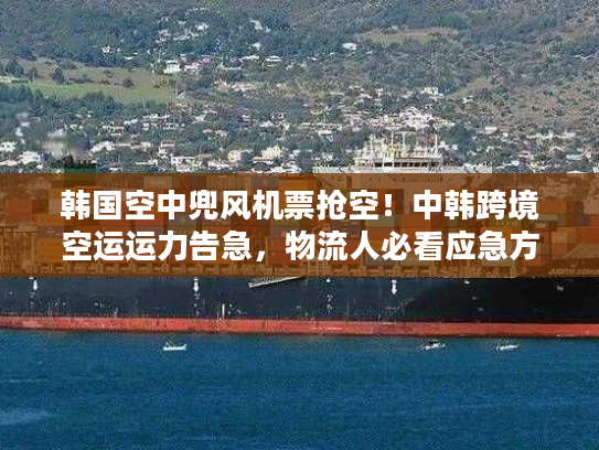 韩国空中兜风机票抢空!中韩跨境空运运力告急,物流人必看应急方案 韩国空中兜风机票抢空!中韩跨境空运运力告急,物流人必看应急方案