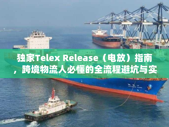 独家Telex Release(电放)指南,跨境物流人必懂的全流程避坑与实战案例 独家Telex Release(电放)指南,跨境物流人必懂的全流程避坑与实战案例