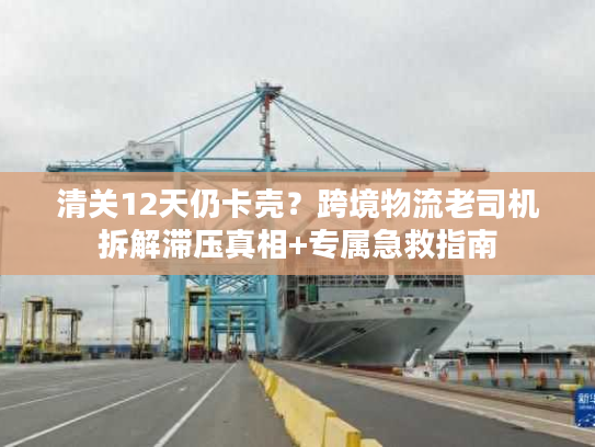 清关12天仍卡壳？跨境物流老司机拆解滞压真相+专属急救指南