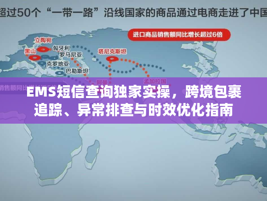 EMS短信查询独家实操，跨境包裹追踪、异常排查与时效优化指南