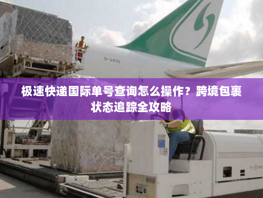 极速快递国际单号查询怎么操作?跨境包裹状态追踪全攻略 极速快递国际单号查询怎么操作?跨境包裹状态追踪全攻略