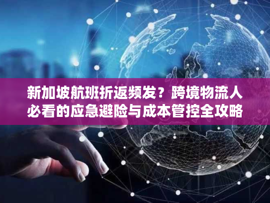新加坡航班折返频发？跨境物流人必看的应急避险与成本管控全攻略