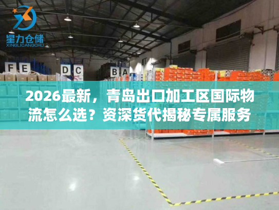 2026最新，青岛出口加工区国际物流怎么选？资深货代揭秘专属服务与避坑门道