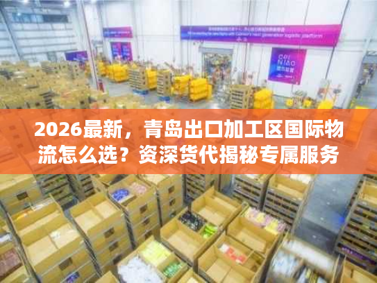 2026最新，青岛出口加工区国际物流怎么选？资深货代揭秘专属服务与避坑门道