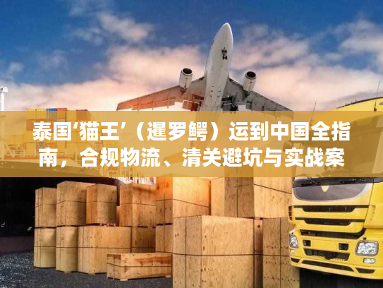 泰国‘猫王’（暹罗鳄）运到中国全指南，合规物流、清关避坑与实战案例