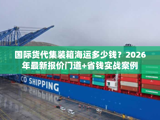 国际货代集装箱海运多少钱？2026年最新报价门道+省钱实战案例