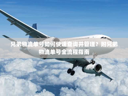 兄弟物流单号如何快速查询并管理?附兄弟物流单号全流程指南 兄弟物流单号如何快速查询并管理?附兄弟物流单号全流程指南