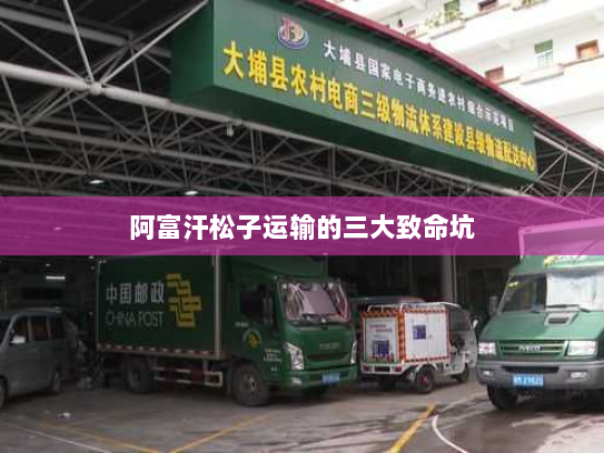 阿富汗松子运输的三大致命坑