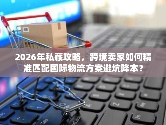2026年私藏攻略，跨境卖家如何精准匹配国际物流方案避坑降本？