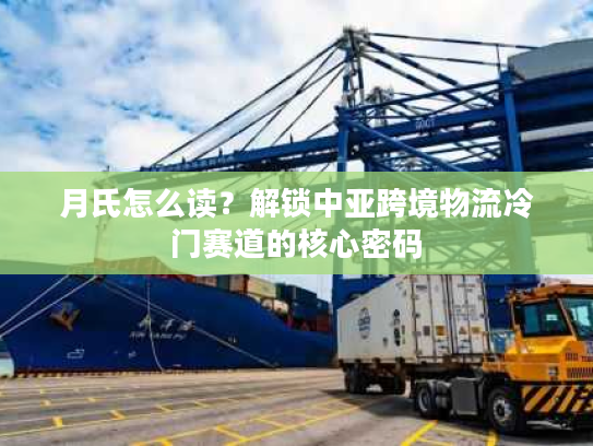 月氏怎么读？解锁中亚跨境物流冷门赛道的核心密码