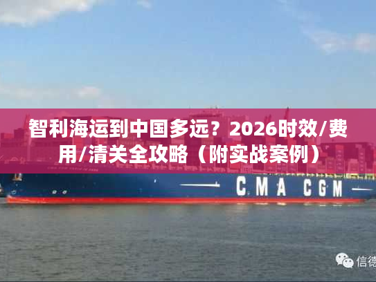 智利海运到中国多远？2026时效/费用/清关全攻略（附实战案例）