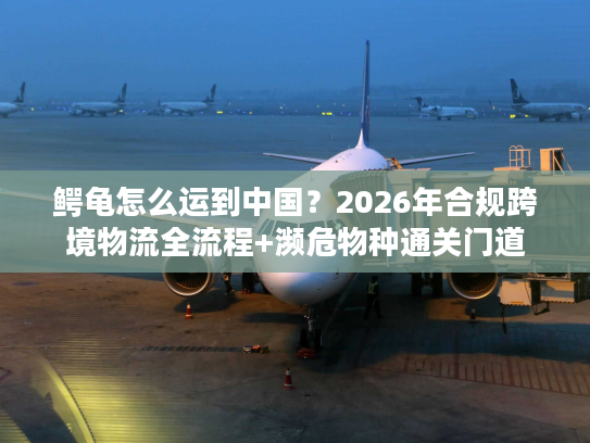 鳄龟怎么运到中国？2026年合规跨境物流全流程+濒危物种通关门道