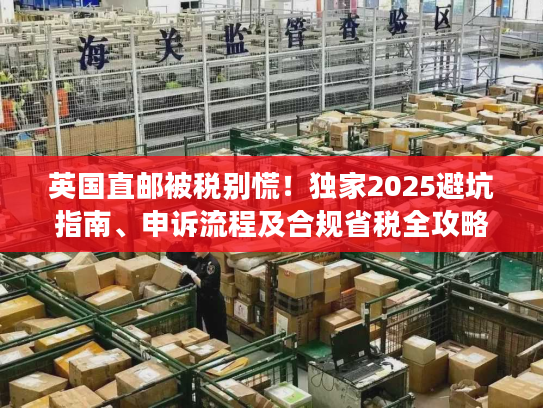 英国直邮被税别慌！独家2025避坑指南、申诉流程及合规省税全攻略