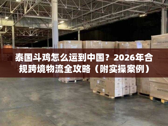 泰国斗鸡怎么运到中国？2026年合规跨境物流全攻略（附实操案例）
