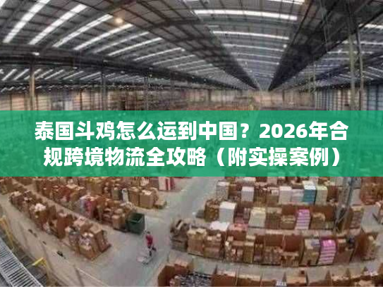 泰国斗鸡怎么运到中国？2026年合规跨境物流全攻略（附实操案例）