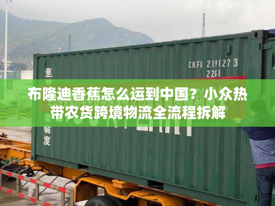 布隆迪香蕉怎么运到中国？小众热带农货跨境物流全流程拆解