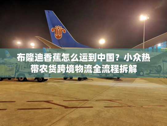 布隆迪香蕉怎么运到中国？小众热带农货跨境物流全流程拆解
