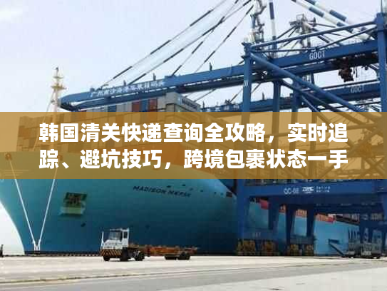 韩国清关快递查询全攻略，实时追踪、避坑技巧，跨境包裹状态一手掌握