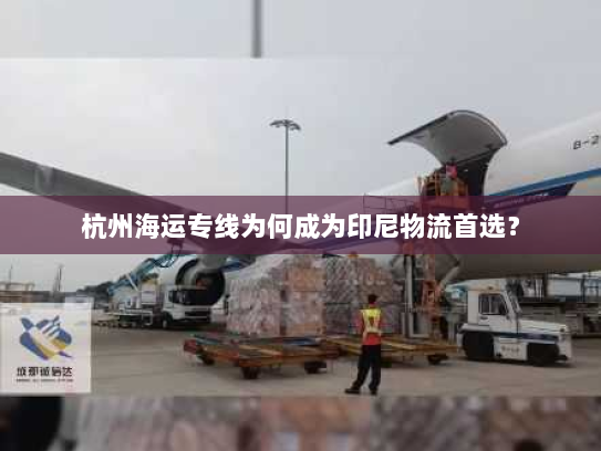 杭州海运专线为何成为印尼物流首选? 杭州海运专线为何成为印尼物流首选?