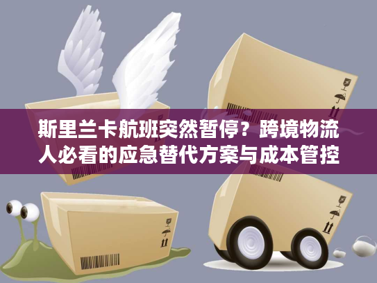 斯里兰卡航班突然暂停?跨境物流人必看的应急替代方案与成本管控全攻略 斯里兰卡航班突然暂停?跨境物流人必看的应急替代方案与成本管控全攻略