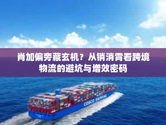 肖加偏旁藏玄机?从销消霄看跨境物流的避坑与增效密码 肖加偏旁藏玄机?从销消霄看跨境物流的避坑与增效密码