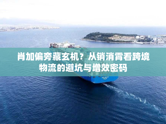 肖加偏旁藏玄机?从销消霄看跨境物流的避坑与增效密码 肖加偏旁藏玄机?从销消霄看跨境物流的避坑与增效密码