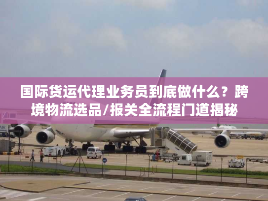 国际货运代理业务员到底做什么？跨境物流选品/报关全流程门道揭秘